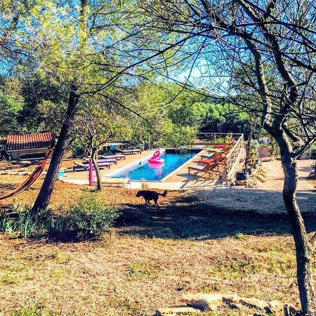 Arche De Noe Atypique, Boheme , Nature, Piscine Chauffee De Paques A Toussaint , Spa , Sauna , Loisirs 르보쎄 외부 사진