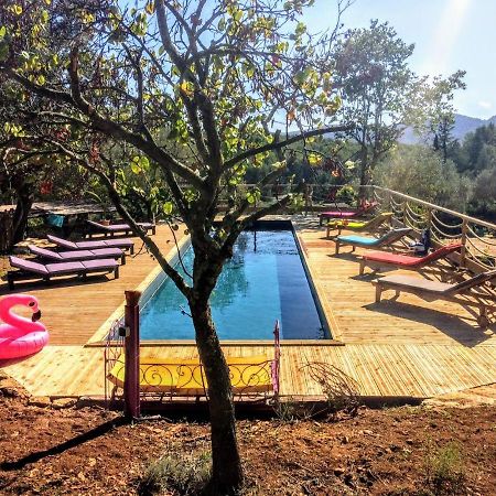 Arche De Noe Atypique, Boheme , Nature, Piscine Chauffee De Paques A Toussaint , Spa , Sauna , Loisirs 르보쎄 외부 사진